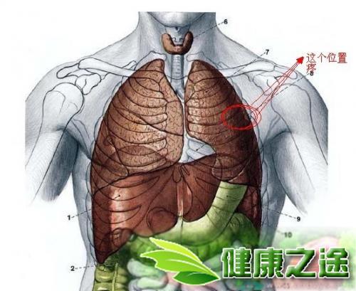 心绞痛发作的特点是左前胸部或胸骨后有绞窄感